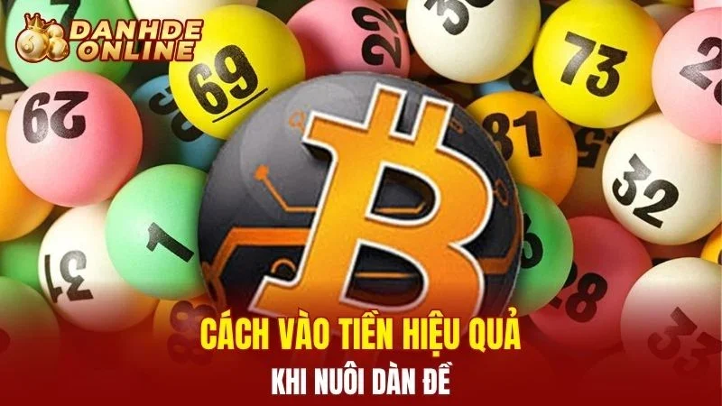 Cách vào tiền hiệu quả khi nuôi dàn đề