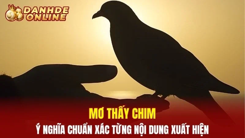 mơ thấy chim