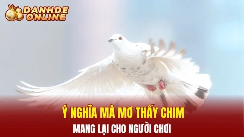 Ý nghĩa mà mơ thấy chim mang lại cho người chơi